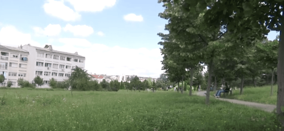 Parqet mbushen me bari, Hortikultura e Komuna “s’kanë faj” (VIDEO)