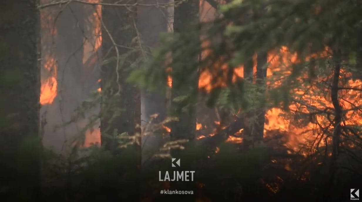 Apel për rreziqet e vapës: Lëvroni hamullishtat, mos i kallni (VIDEO)