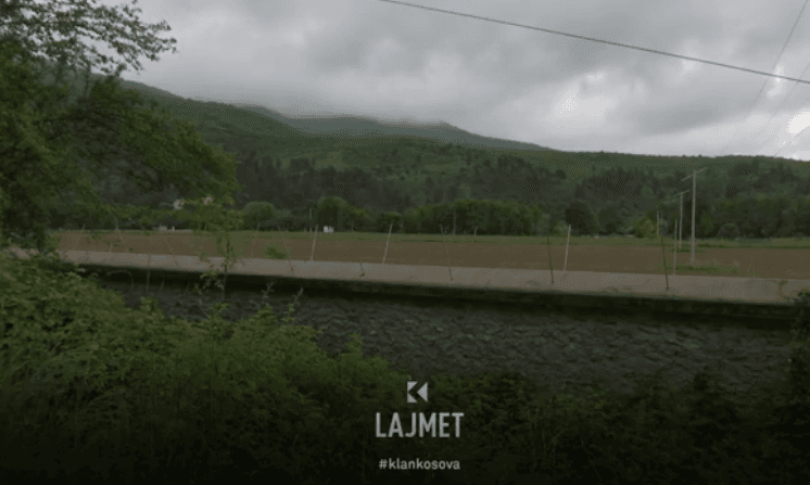 Rasti i parë: Doli të shëtis, mori ethet e minjve (VIDEO)