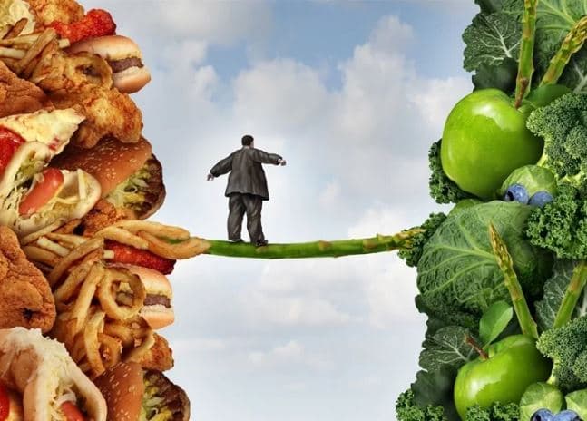 Thyerja e kodit të mbipeshës: Çka thotë hipoteza e levës së proteinave?