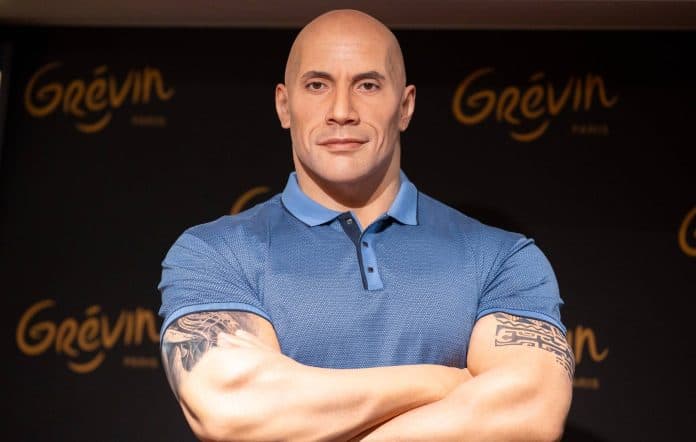 Gallatë me figurën e The Rockut