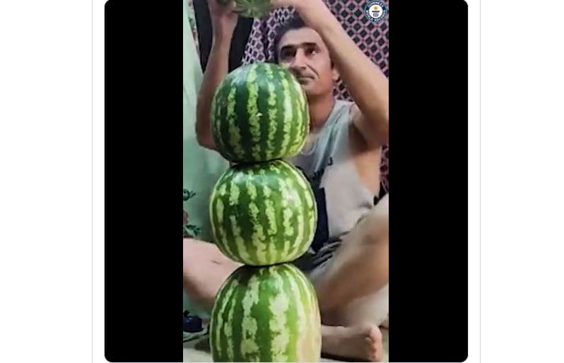 Një iranian rendit katër shalqinj për të thyer rekordin Guinness (VIDEO)