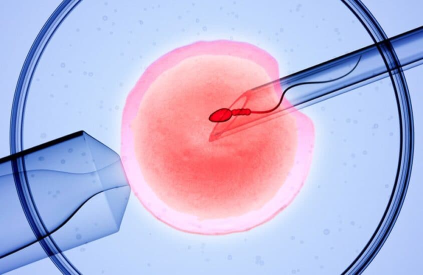 Spitali i Alabamës e ndalon IVF-në pas vendimit që thotë se embrionet e ngrira janë fëmijë