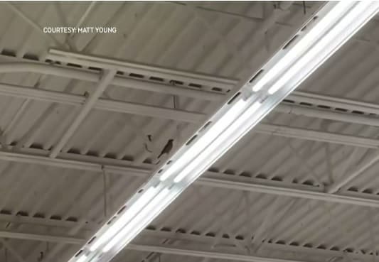 Zogjtë banojnë brenda dyqanit Walmart