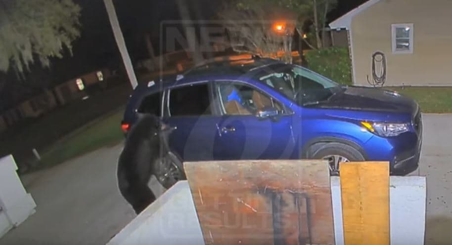 Ariu kapet në kamera duke hapur derën e veturës (VIDEO)