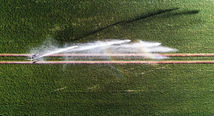 Pesticidet dhe herbicidet ndikojnë në sëmundjen e parkinsonit