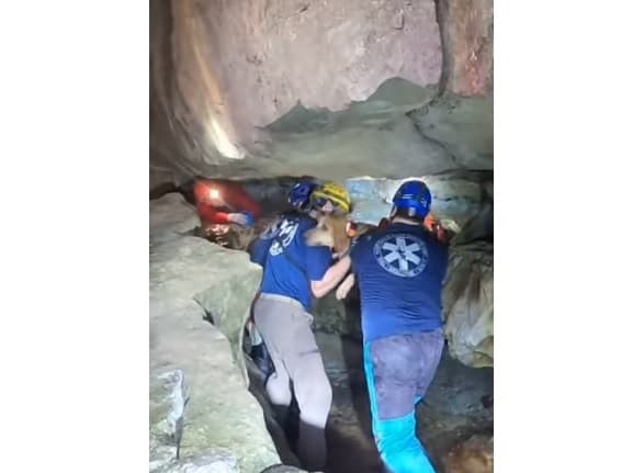 Qeni ngec në shpellë duke e ndjekur rakunin (VIDEO)