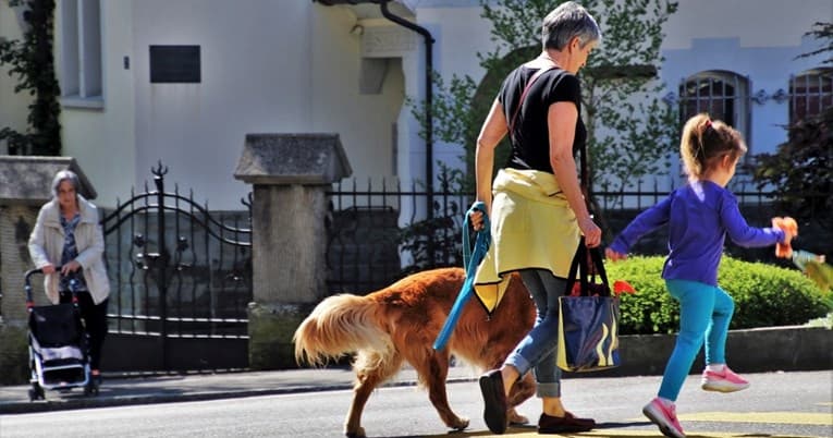 Shkencëtarët zbulojnë se sa duhet të ulemi dhe të qëndrojmë në këmbë gjatë ditës
