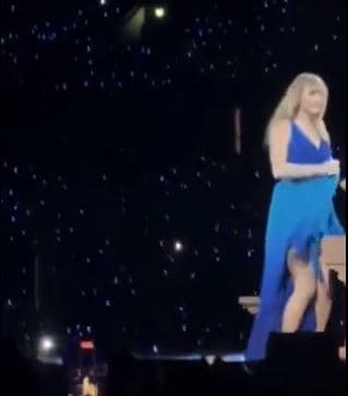 Taylor Swift bëhet horë, i shqepet fustani e i dalin të brendshmet në pah