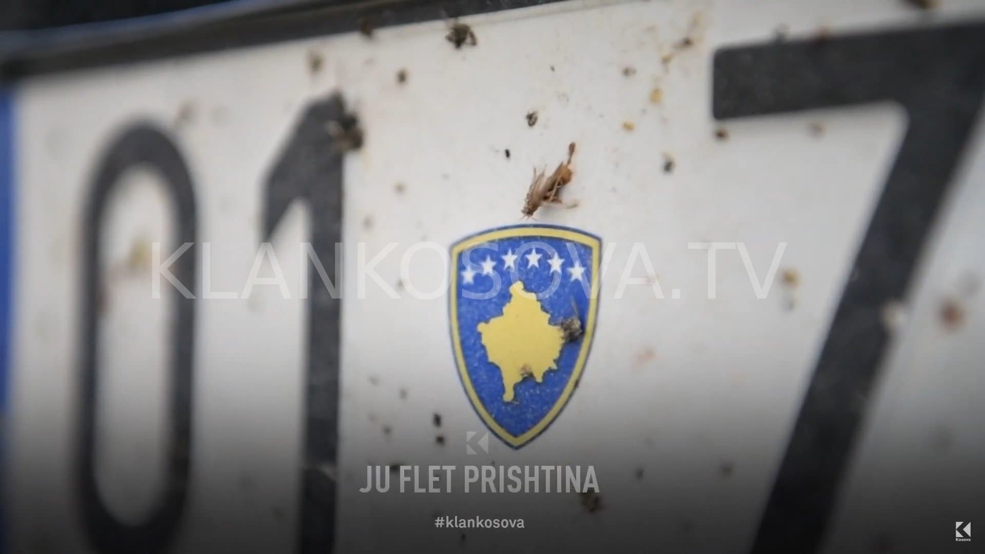 Mushkonjat pushtojnë qendrën e Prishtinës, qytetari mbyt 200 sosh