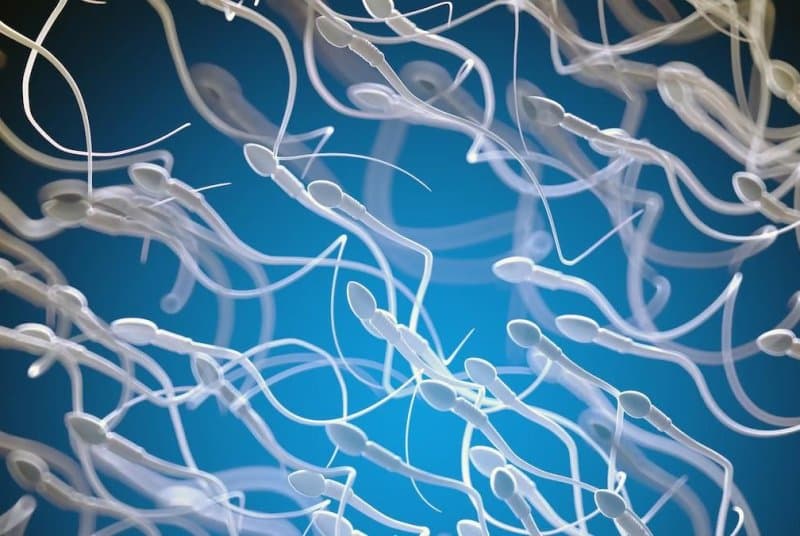 HPV mund të dëmtojë fertilitetin te meshkujt