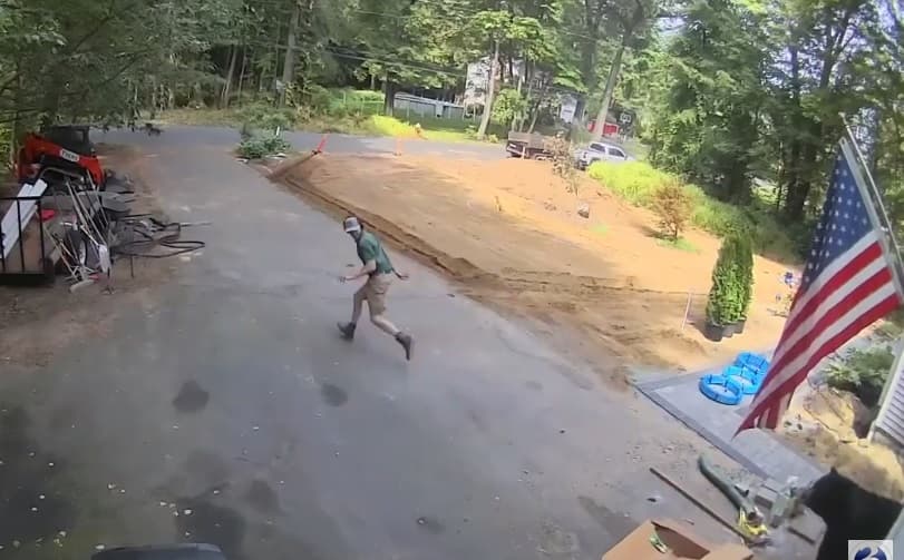 Surpriza e pazakontë: Përballja me një ari në garazh (VIDEO)