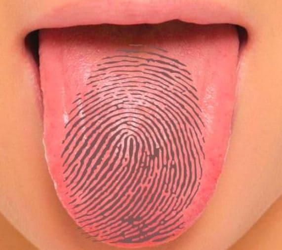 Jo veç gishtat, edhe gjuha mund të përdoret për identifikim