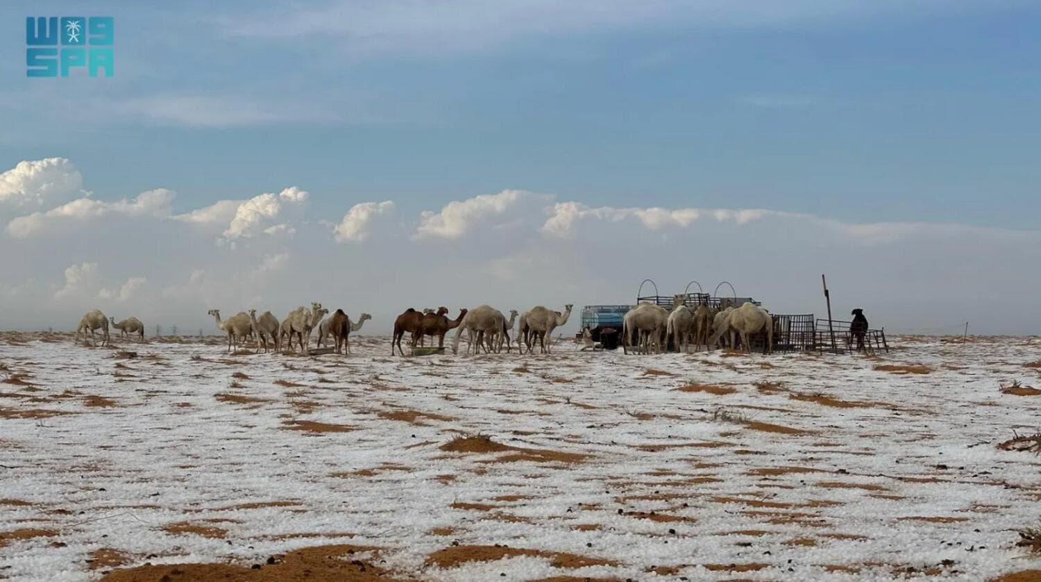 Bora mbulon disa pjesë të Arabisë Saudite