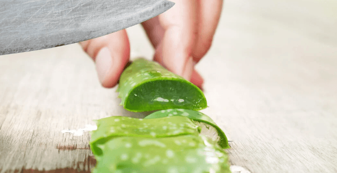 Aloe Vera për duar të buta dhe të shëndetshme
