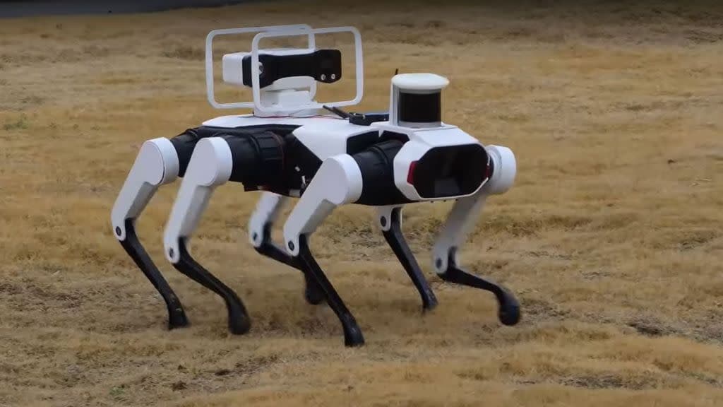 Shpiket qeni robot në Kinë – transporton 100 kilogramë peshë