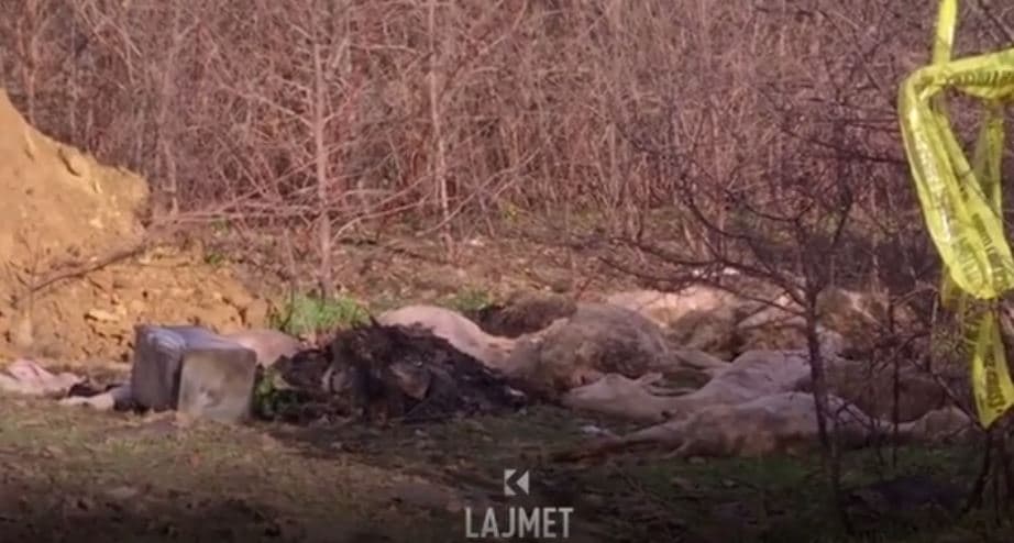 24 dele të cofëta trandin banorët në Reti të Rahovecit (VIDEO)