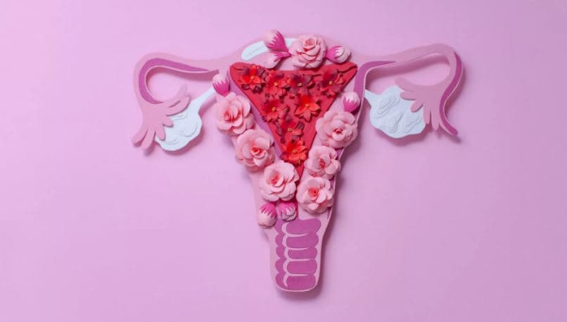 Studimi: Çrregullimet gjinekologjike si endometrioza rrisin rrezikun e sëmundjeve të zemrës
