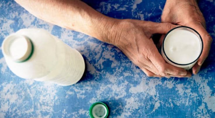 Si ndikon kefiri probiotik në sëmundjen e Alzheimerit?