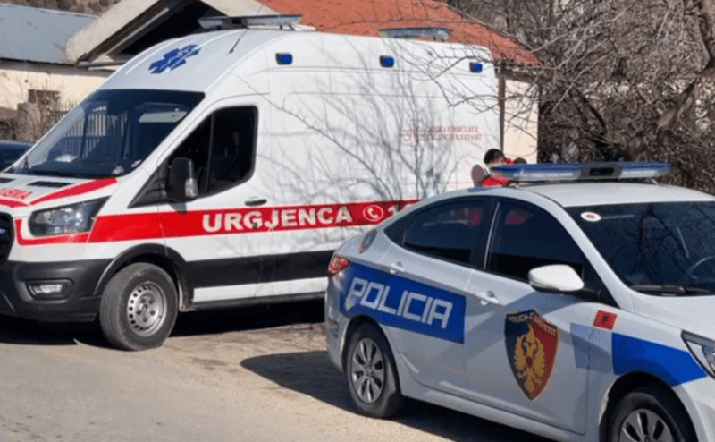 Arrestohet një 68-vjeçar në Shqipëri, e rrahu dhe tentoi ta vriste me armë gjahu gruan