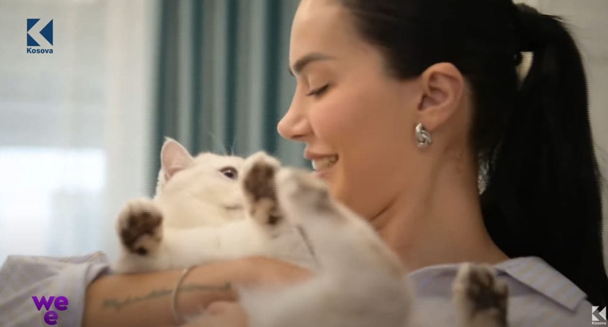 “Japin shumë dashuri”, Efi Dhedhes flet për katër macet e saja (VIDEO)