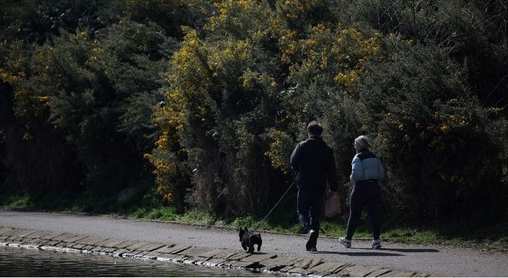 Ky është numri minimal i hapave të rekomanduara nga ekspertët për një jetë të shëndetshme