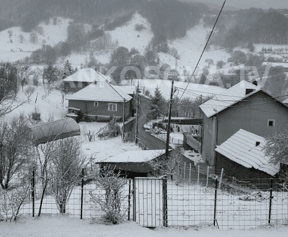 Bora e prillit zbukuron Baren e Shalës (FOTO)