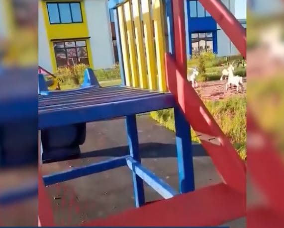Qytetarja në Milloshevë të Obiliqit ankohet për shkatërrimin e lodrave në çerdhen publike (VIDEO)