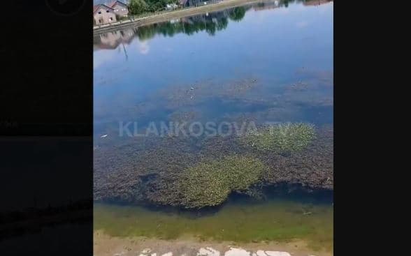 Gjendje e mjerueshme e liqenit Artificial të Mitrovicës, ankohet banori (VIDEO)