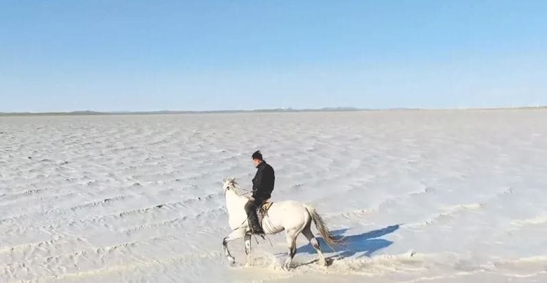 A keni parë ndonjëherë liqen që duket me ujin si qumësht?