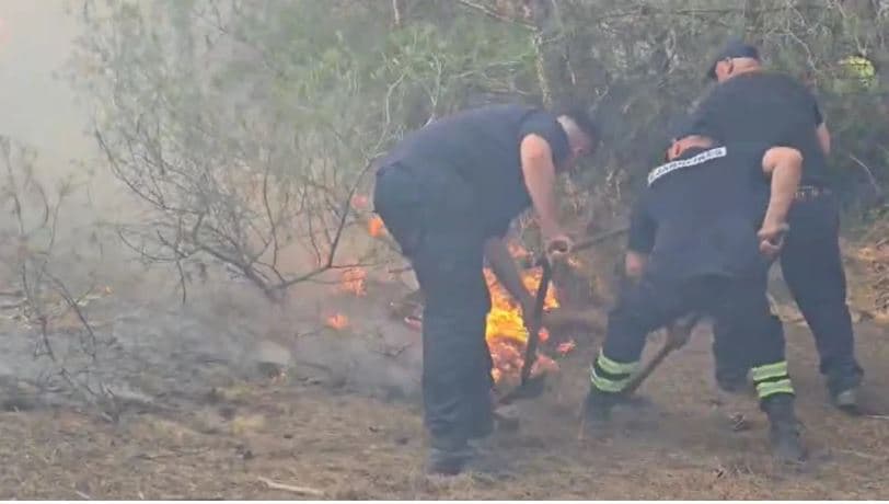 Zjarr në pyjet e Darzezës, zjarrfikësit në "luftë" me flakët për shuarjen e tyre