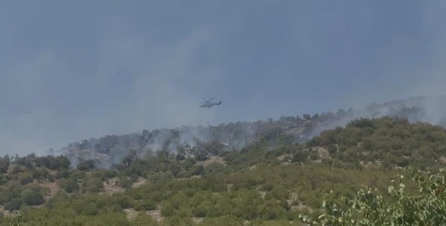 "Në rrezik edhe banesat", dhjetëra forca zjarrfikës po 'luftojnë' me zjarrin në Berat