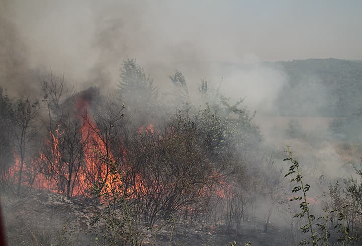 Përfshihen nga zjarri disa zona të fshatit Temeqinë dhe Ngucat të Malishevës
