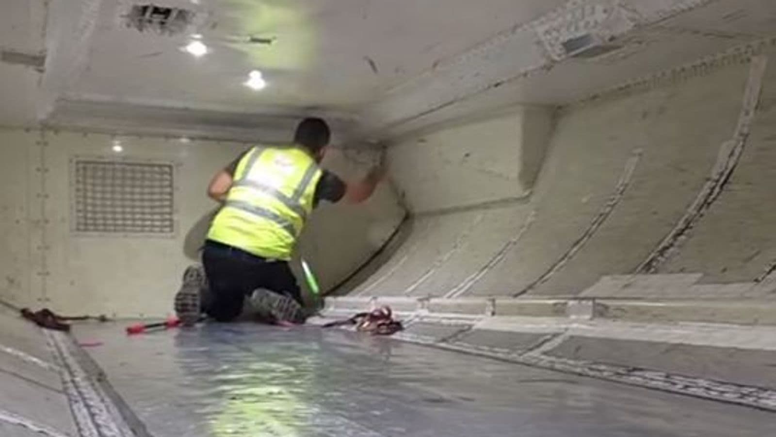 Gjarpri futet në pjesën e bagazheve të një aeroplani në Australi, ishte në valixhen e një udhëtari