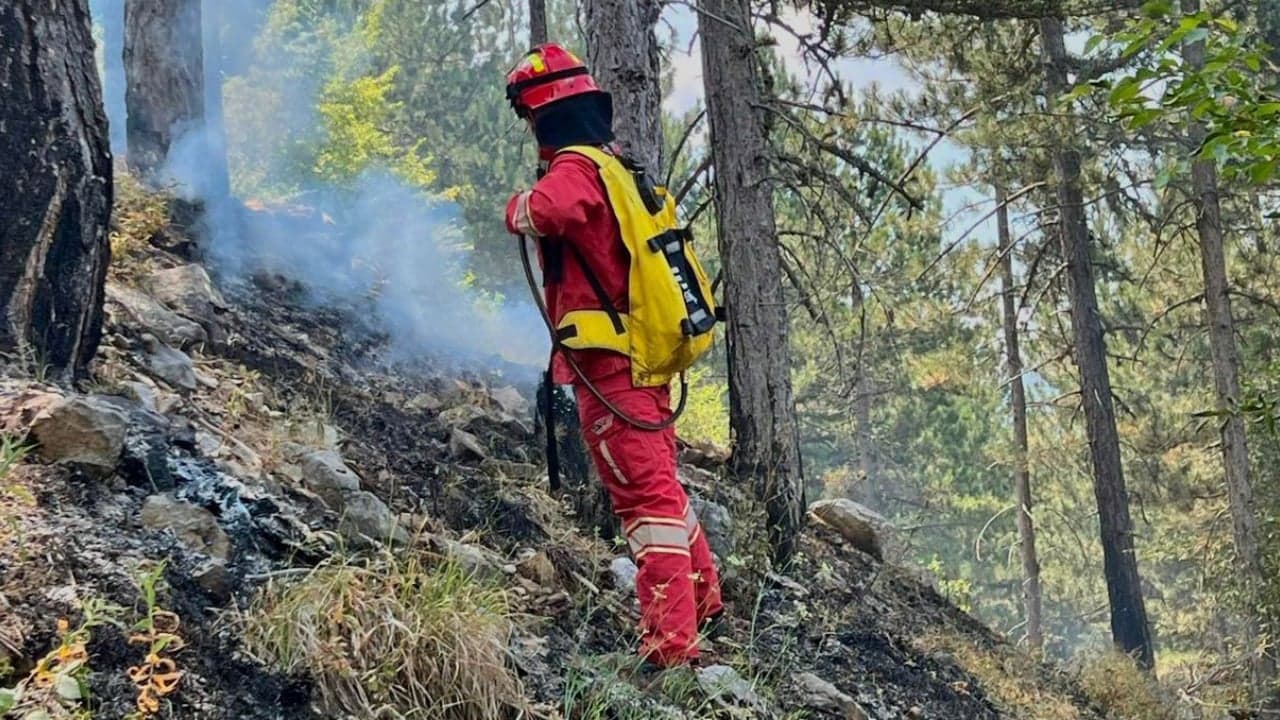 Situata e zjarreve në Shqipëri, 14 vatra gjatë ditës - 4 prej tyre mbeten aktive
