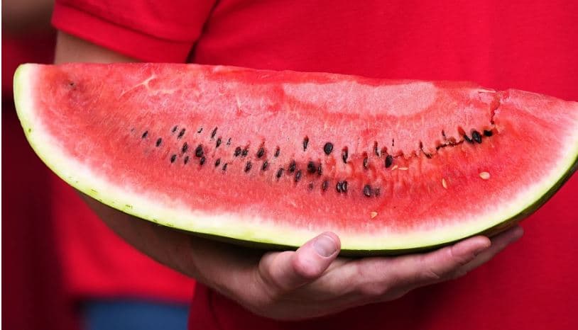 Arsyeja pse kemi më pak uri gjatë verës