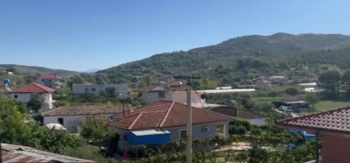 Një fermeri në Lushnjë ia hëngri ujku 40 krerë dele dhe dhi