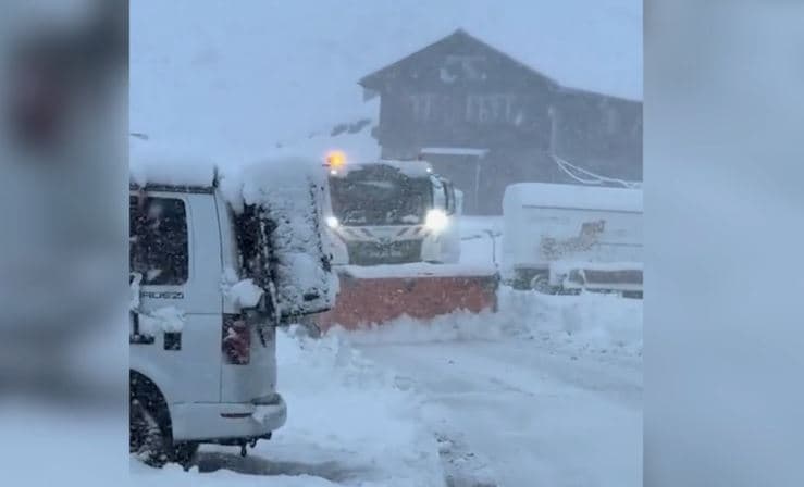 Bie bora e parë në Alpe