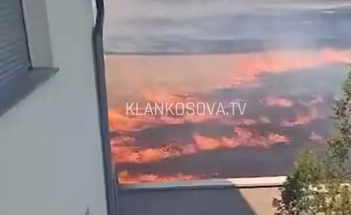 Zjarr i madh në Nekoc të Drenasit, përhapja e flakëve rrezikon një shtëpi afër 