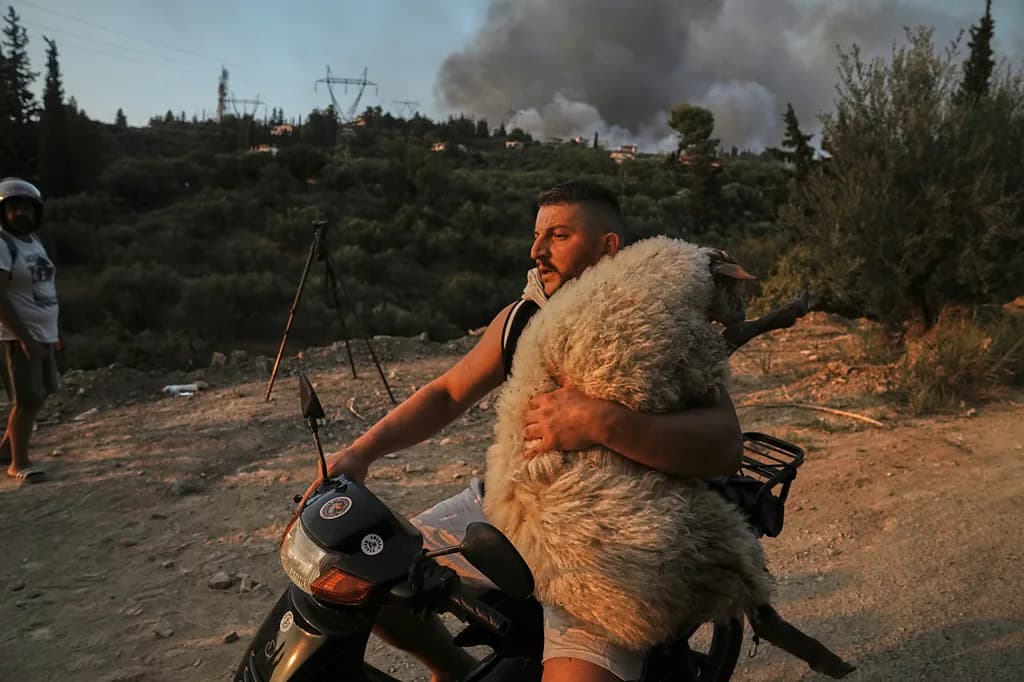 Shqiptari riktheu imazhin e “Bariut të Mirë”, një ndër 12 fotot më ikonike të vitit