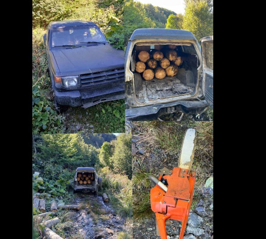 Policia me aksion në Kaçanik e Ferizaj, sekuestron automjete dhe drunj të prerë ilegalisht