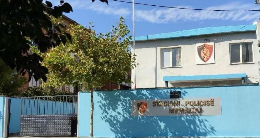 Dyshohen për vjedhje, kapet nëna 67-vjeçare - policia në kërkim të djalit