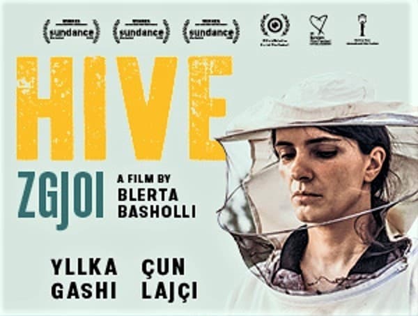Në kuadër të Javës së Bibliotekës në Kosovë shfaqen katër filma