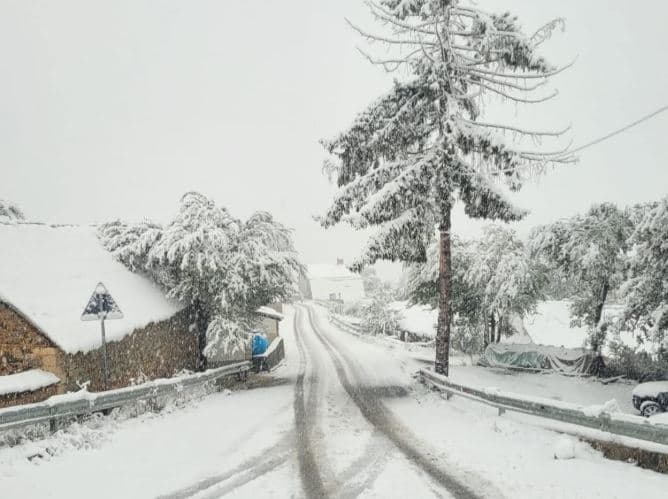 Bie bora e parë në Kukës, Rama ndan pamje përrallore