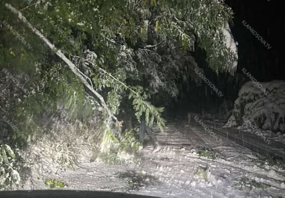 Bora dhe pemët e rrëzuara bllokojnë rrugët e Prevallës