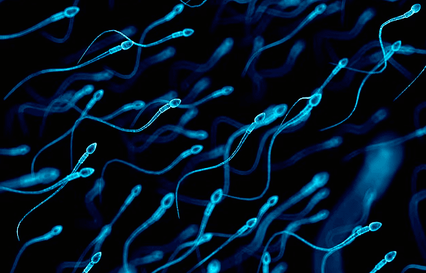 Sperma e meshkujve mbi 40 vjeç përcjell mutacione që shkaktojnë sëmundje tek fëmijët