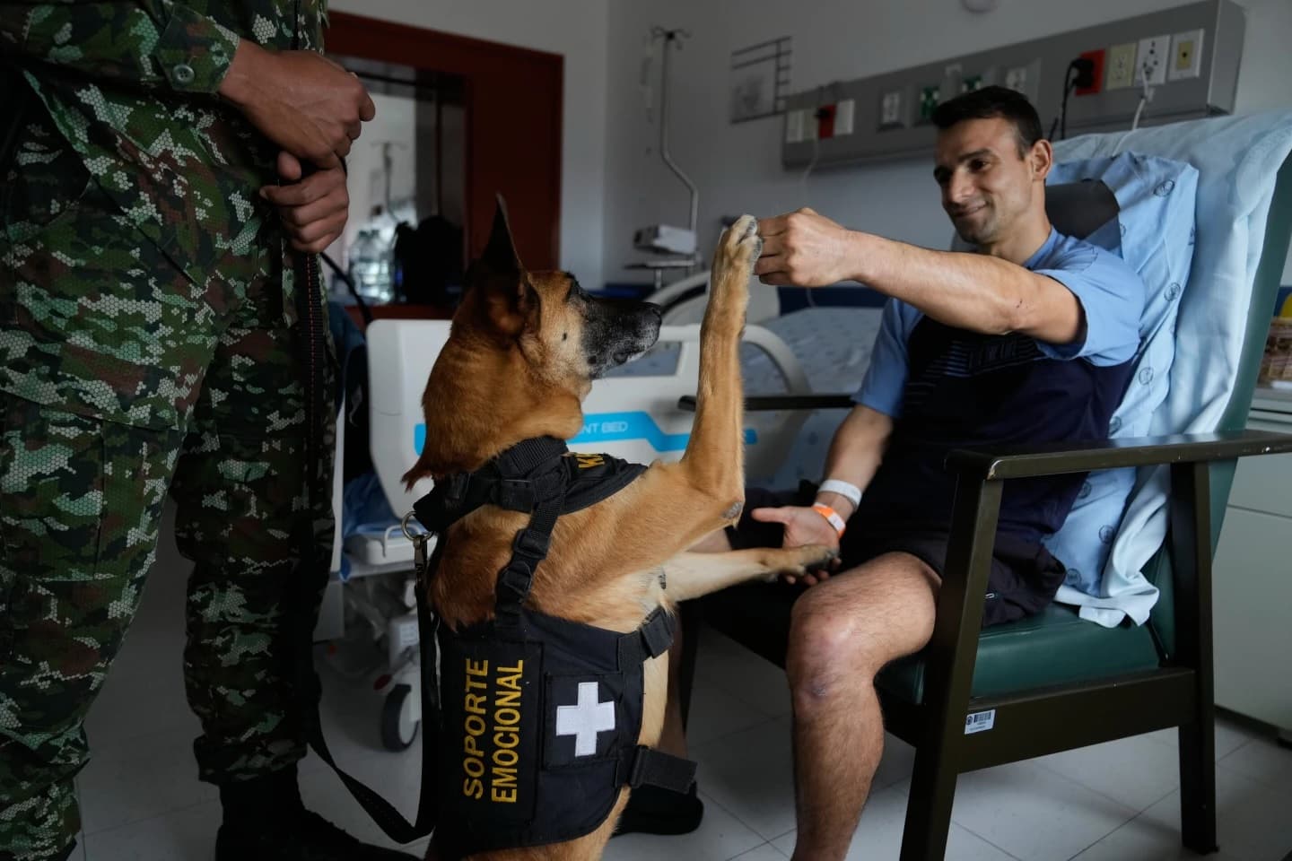 Ushtarët kolumbianë gjejnë ngushëllim te qentë mbështetës emocionalë