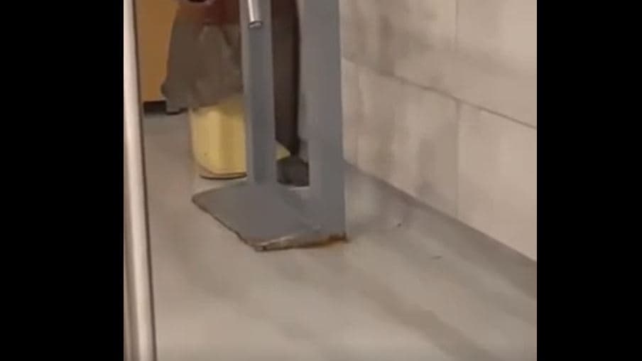Miu “shëtitet” nëpër Mensë të Studentëve (VIDEO)