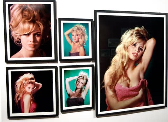 Vdes Brigitte Bardot, ikona e kinemasë franceze