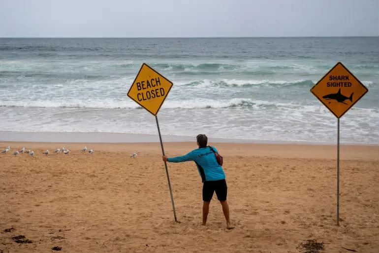 Australia mbyll dhjetëra plazhe pas sulmeve nga peshkaqenët